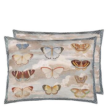 CCJD5089, Butterfly Studies, Parchment, John Derian